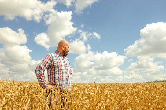 Happy smiling successful caucasian thirty years old farmer standing proud in front of his wheat fields.
