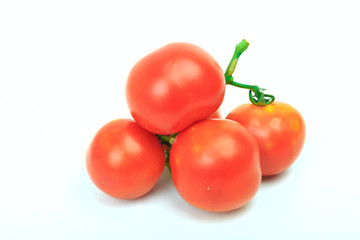 Group of small tomato