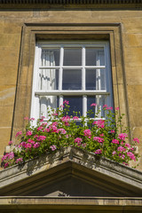 Fototapeta na wymiar Beautiful Window and Flower Basket