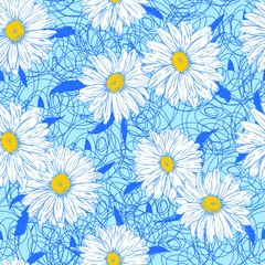 White daisies on a lace background