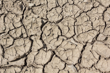 Cracked ground