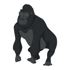 black gorilla