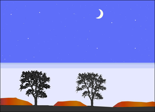 Noite estrelada com lua nova no sert&atilde;o