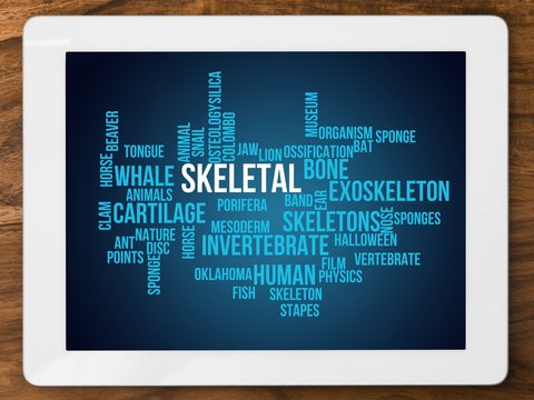 skeletal