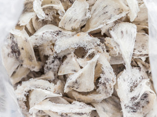 Swallow bird nest in plastic bag