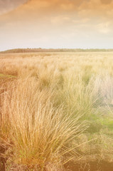 The image of farmland