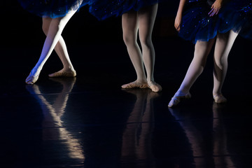 Dancers during ballet performances.Legs only.