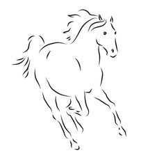 Fototapeta na wymiar Vector illustration of galloping horse