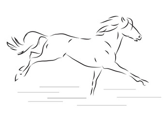 galloping horse