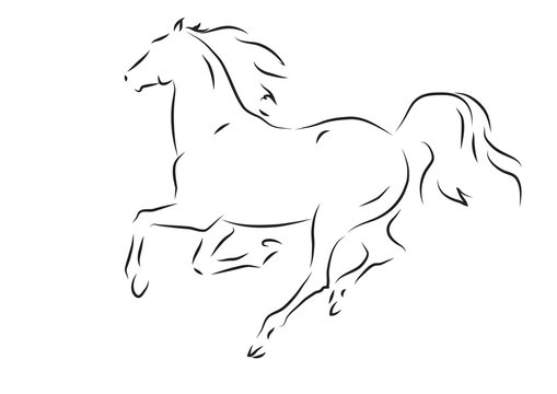 Sketch of silhouette of running horse 