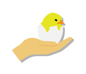 Chick peeking out of egg