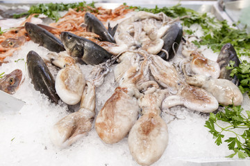 fish, dinner, color, food, eating