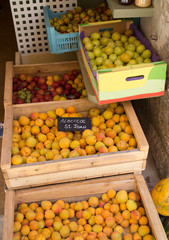apricots in crates on market