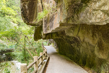 Obraz premium waterfall, green,