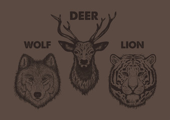 Vintage set animal labels & badges. Retro design graphic element, emblem, logo, insignia, sign, identity, logotype, poster. Wolf, Deer, Tiger, illustration