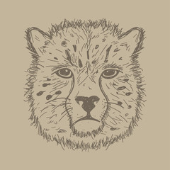 vector line drawings of wild animal Cheetah