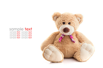 Brown teddy bear isolated on white background