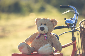 Lovely brown teddy bear in rattan basket on vintage bike in gree