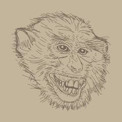 Sketch monkey face