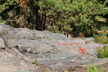 Ancient rock paintings in Naesaaker ins Sweden