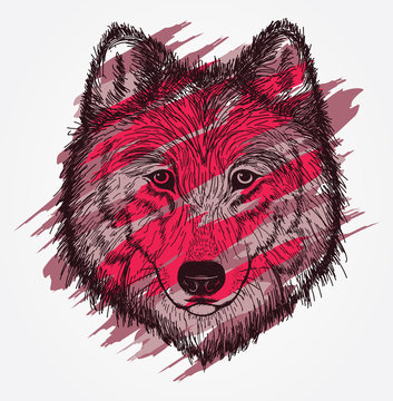 Vector sketch illustration of a wolf head