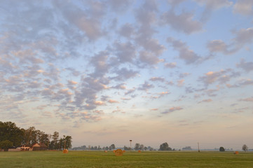 agricultural field