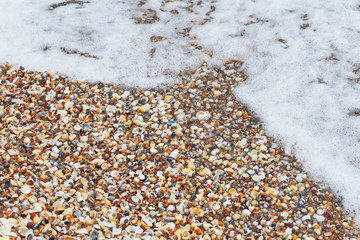 Waves over sea shells lying on coast during sunrise.