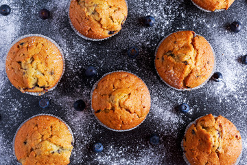 Homemade Blueberry Muffins with powdered sugar, fresh berries.