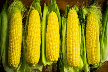 Ripe golden corn cobs on a wooden table
