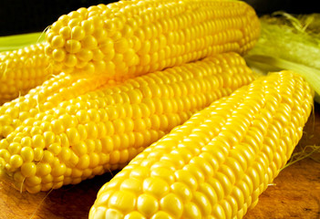 Young corn cobs on a table for a healthy cooking