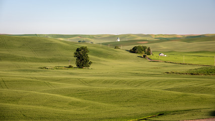 Rolling farm fields of Eastern Washington state