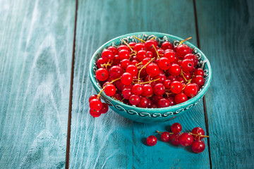 Fresh red currant