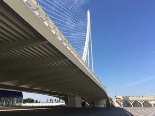 Àgora And the Assut de l'Or Bridge