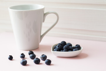 Cup of yogurt with fresh blueberries