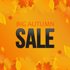 Autumn Sale, Orange banner with leaves. Vector illustration.
