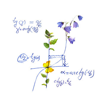 Math design - mathematical graph, flowers. Hand written school concept