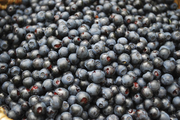 Background from blueberries.