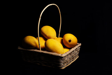 Fresh ripe chaunsa mangoes with basket on black background