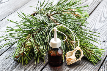 Pine essential oil and pine branches with green cones