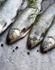 Rainbow trouts on a stone grey board with copy space for text