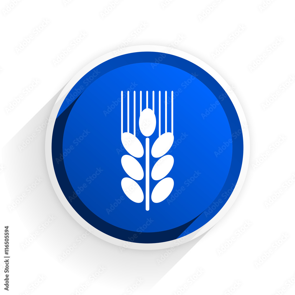 Poster grain flat icon with shadow on white background, blue modern design web element