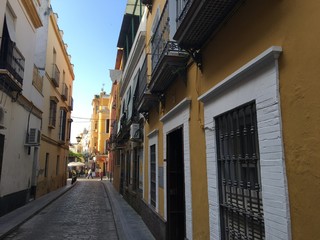 Fototapeta na wymiar In the streets of Seville