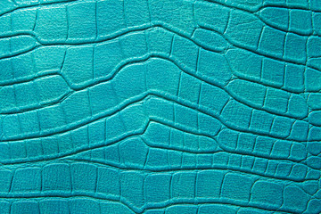 pattern of green crocodile skin.
