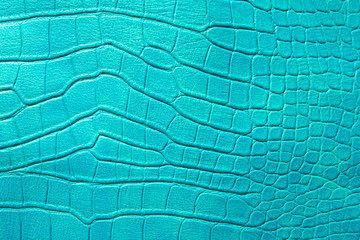 pattern of green crocodile skin.
