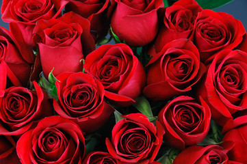 fresh red roses in a bouquet as background