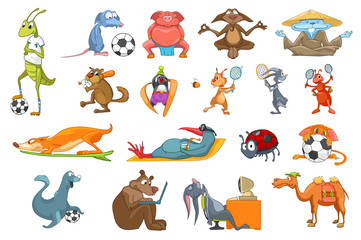 Vector set of animals sport illustrations.