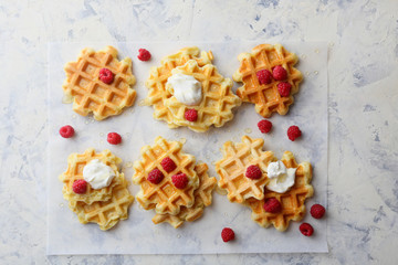 Fototapeta na wymiar waffles with berry and yoghurt