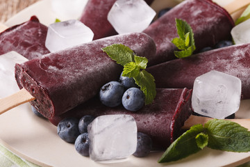 Delicious blueberry ice cream on a stick macro. horizontal
