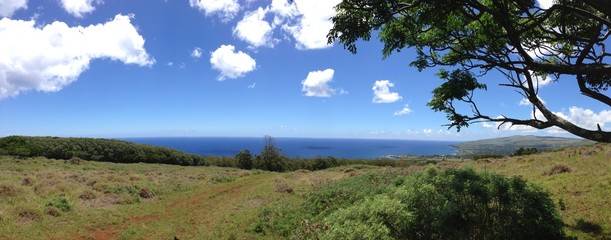 Landscape Easter Island