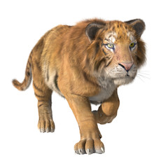 Plakat 3d CG illustration of trotting tiger isolated
